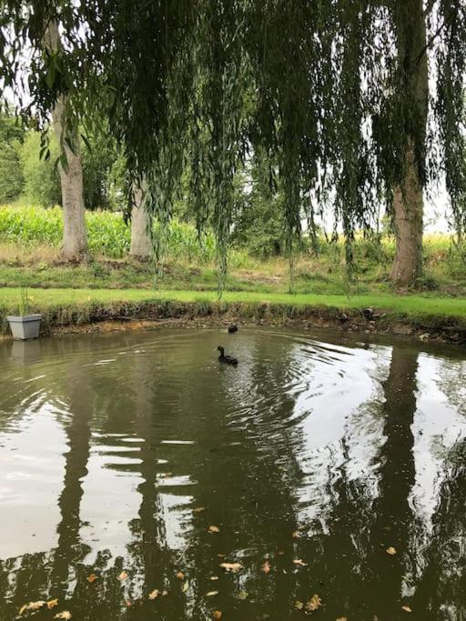 Charmant Gite Entre Vallee De La Rance Et Cote D'Emeraude Pleslin-Trigavou Extérieur photo