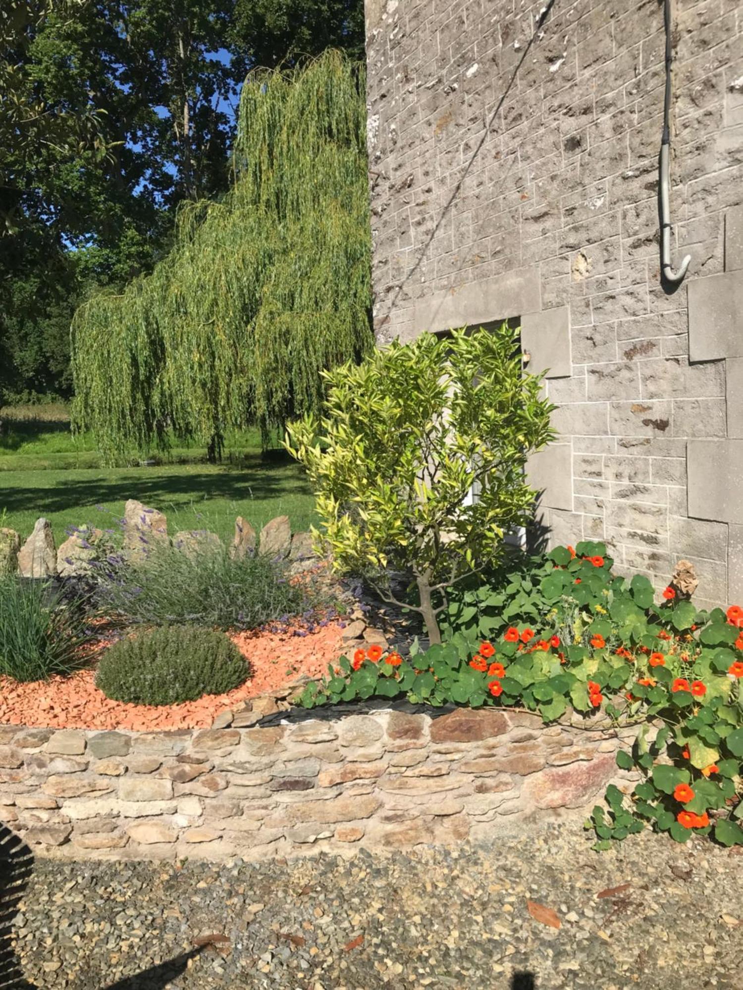 Charmant Gite Entre Vallee De La Rance Et Cote D'Emeraude Pleslin-Trigavou Extérieur photo