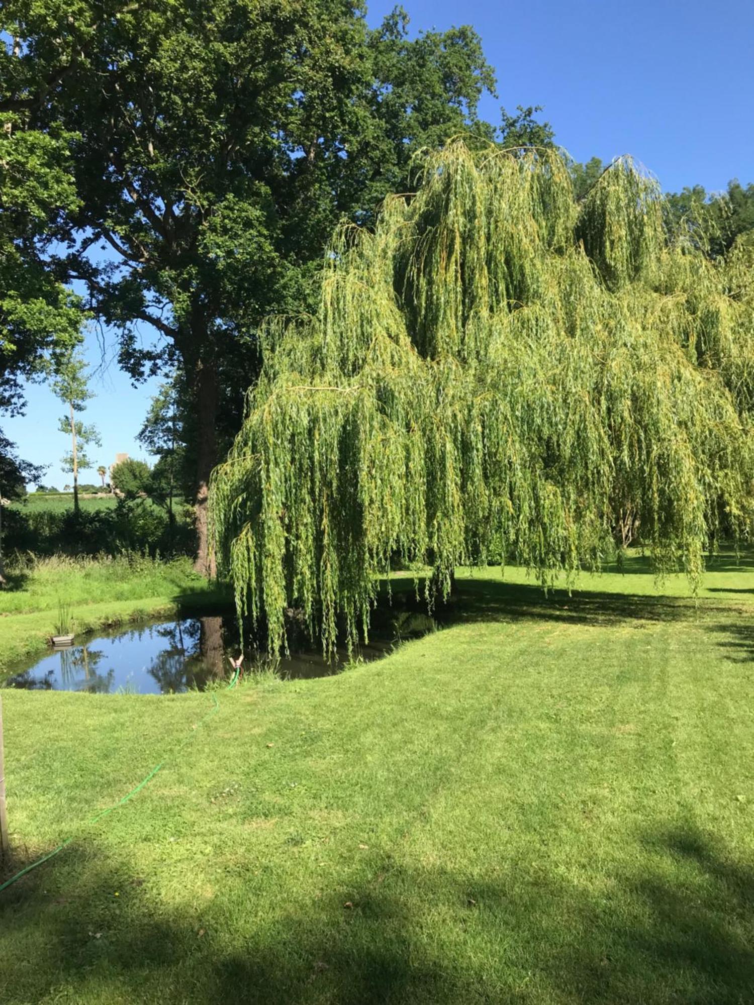 Charmant Gite Entre Vallee De La Rance Et Cote D'Emeraude Pleslin-Trigavou Extérieur photo